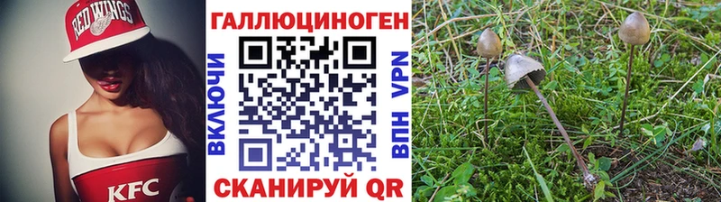 Псилоцибиновые грибы прущие грибы  наркотики  Володарск 